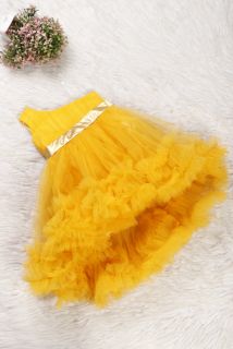 Yellow Net High Low Ruffled Dress