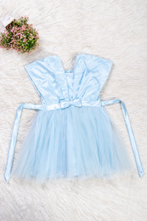 Baby Blue Cute Bow Satin and Net Dress