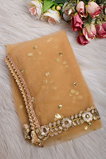 Golden Net Dupatta with Jari lace