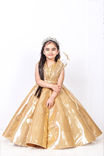 Beautiful Golden Princess Ball Gown