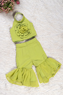 Parrot Green Georgette Coord Set