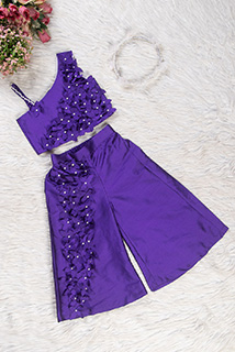 Purple Taffeta Silk Coord Set