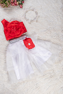 Red and White Organza Coord Set