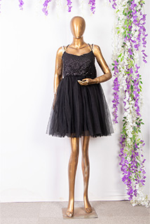 Black Sequins and Net Dress