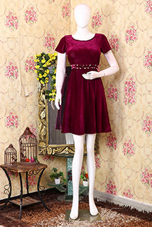 Vine Velvet Short Dress